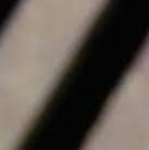 Meet your Posher, Jayden